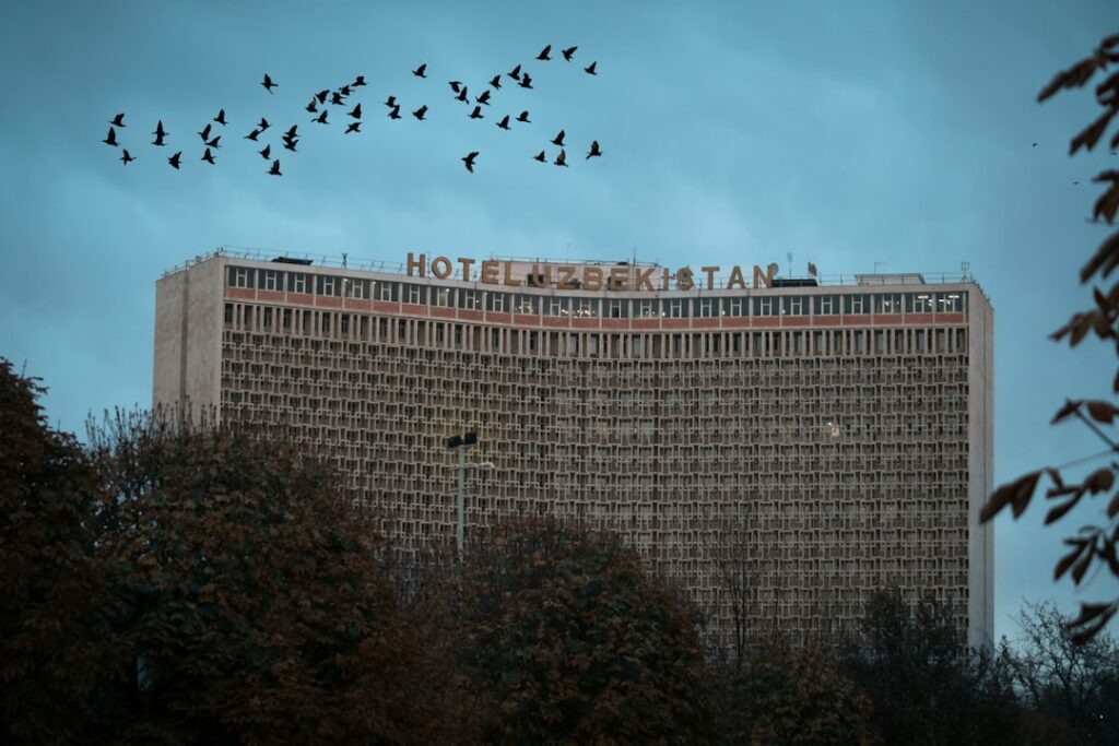 Data-Driven Insights: What the Numbers Actually Reveal