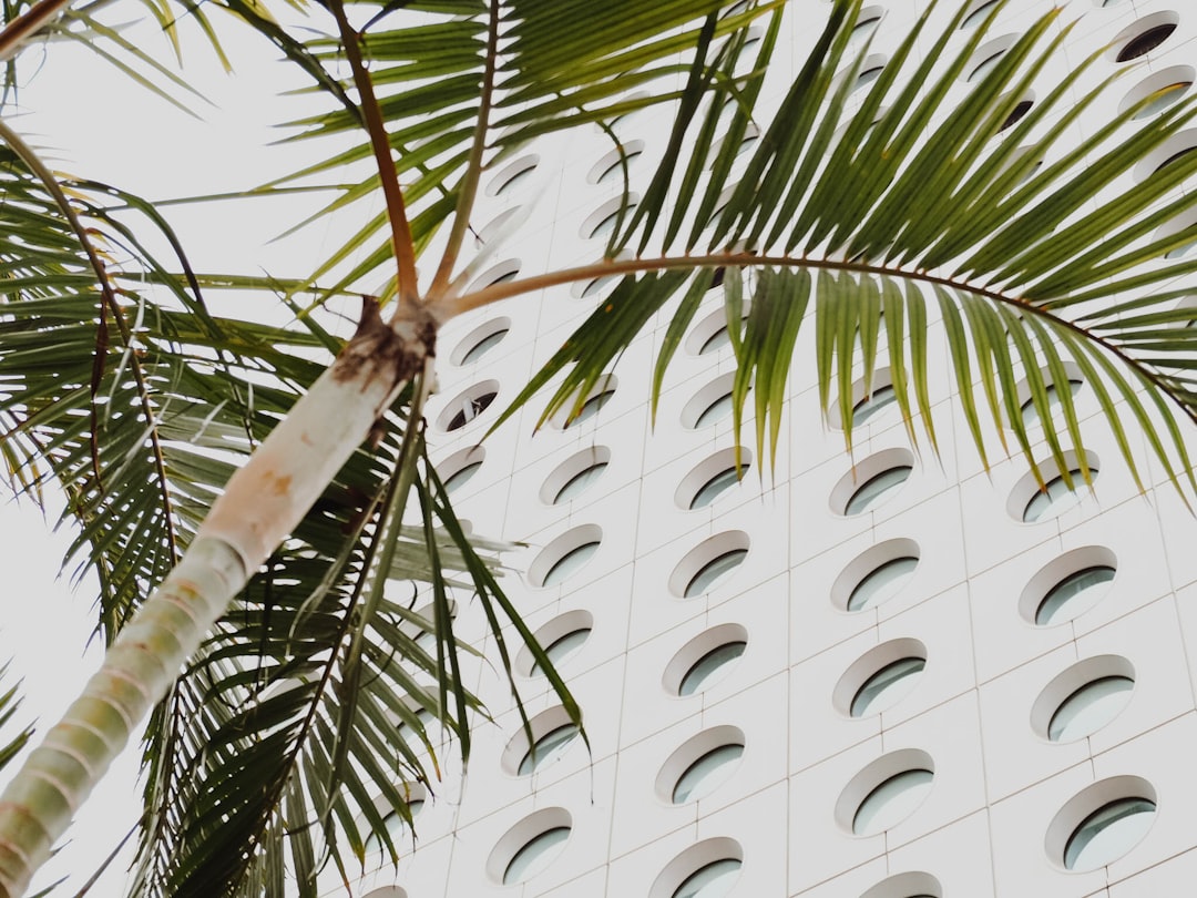 How to Choose a Hotel That Supports Your Eco-Friendly Values