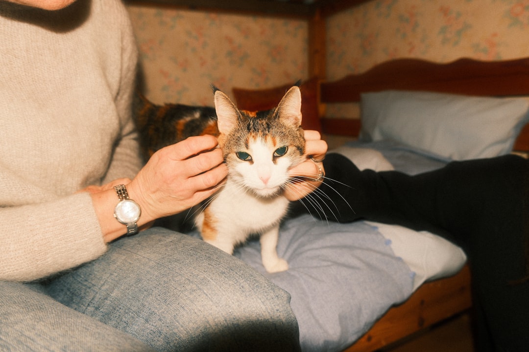 How to Choose a Hotel When You Have Pets or Special Animal Needs