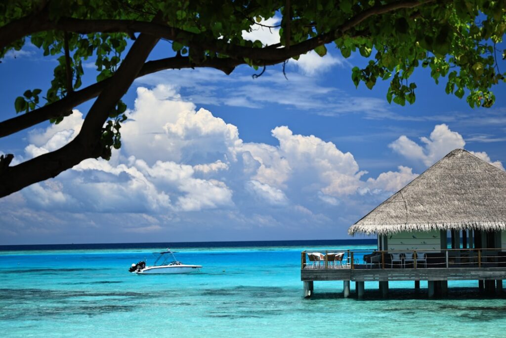 The Golden Booking Windows for Summer Travel