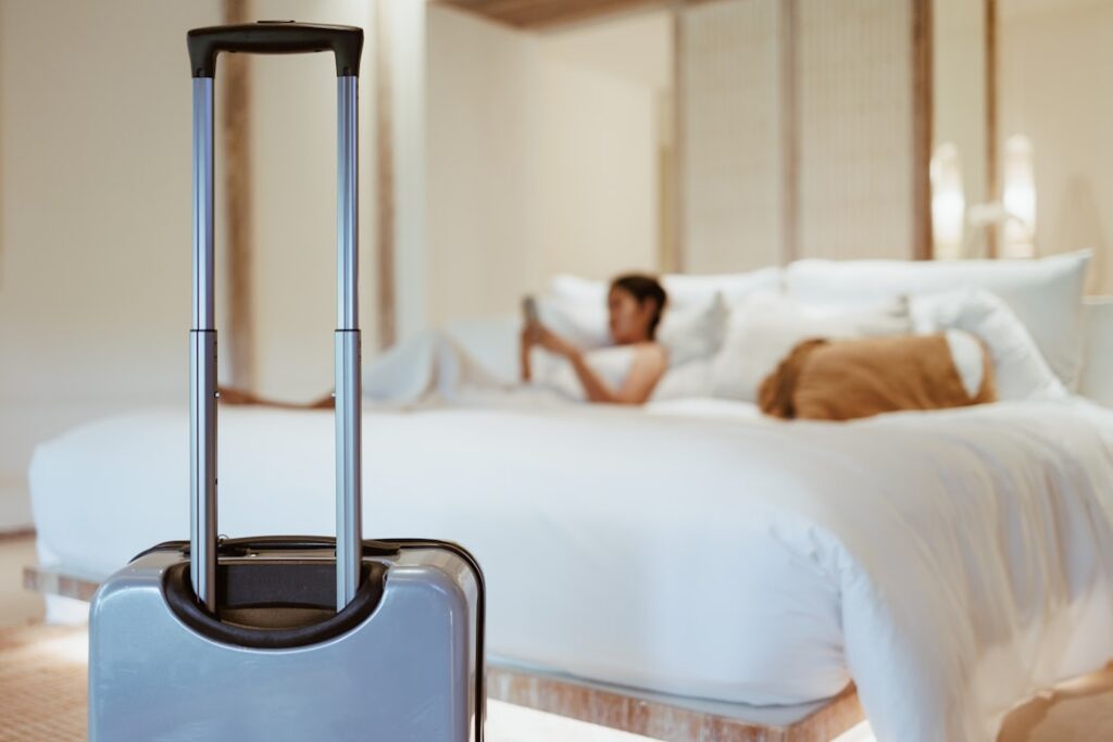 The Strategic Art of Hotel Booking Timing